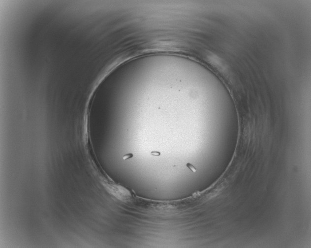 X0000074931370200609151928