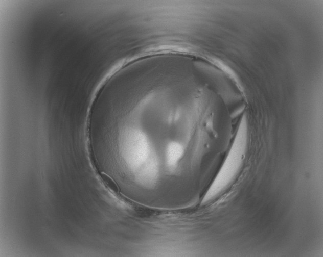 X0000074931373200609151928