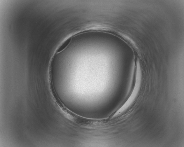 X0000074931375200609151928