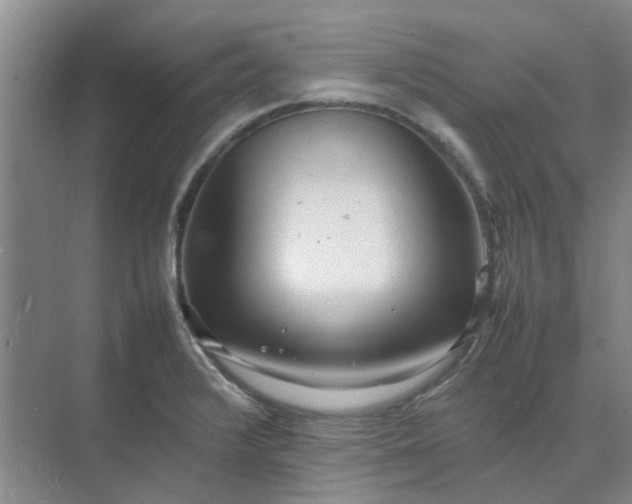 X0000074931376200609151928