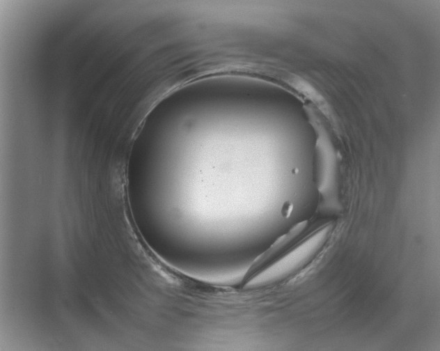 X0000074931377200609151928