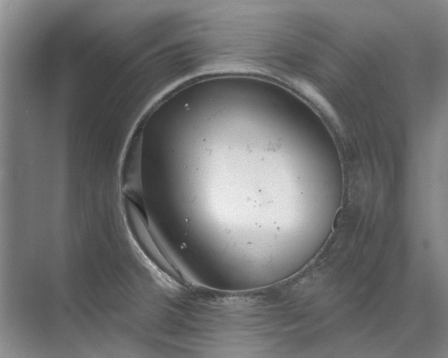 X0000074931380200609151928