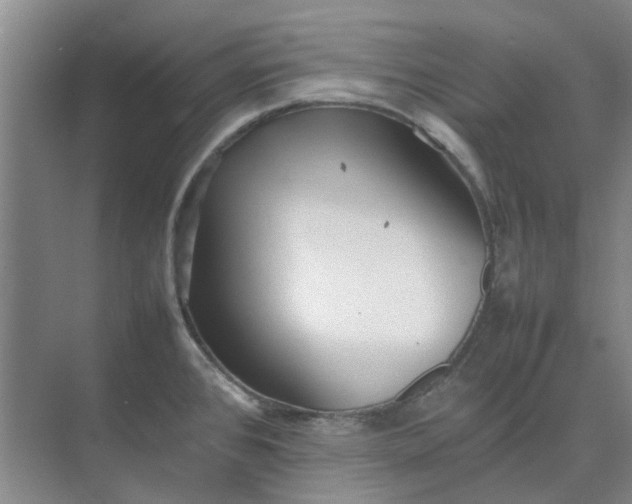 X0000074931384200609151927