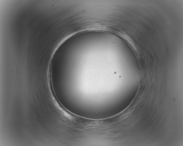 X0000074931387200609151927