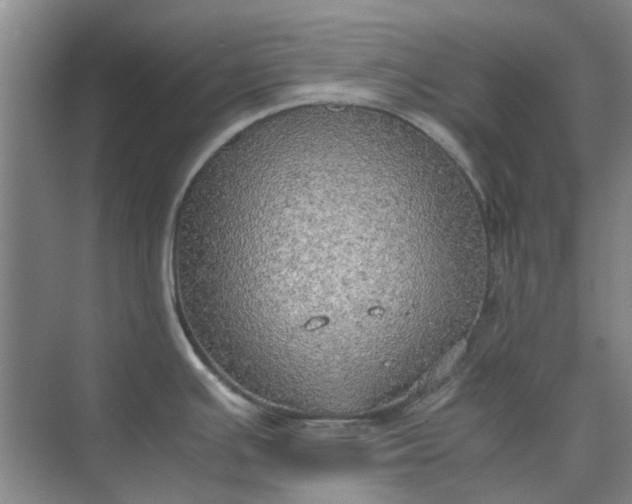 X0000074931391200609151927