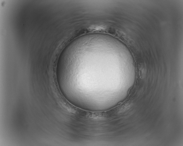 X0000074931393200609151926