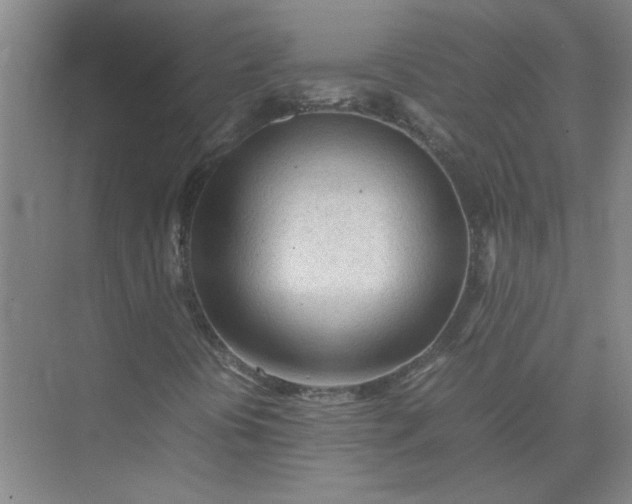 X0000074931394200609151927