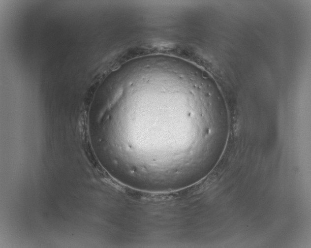 X0000074931397200609151927