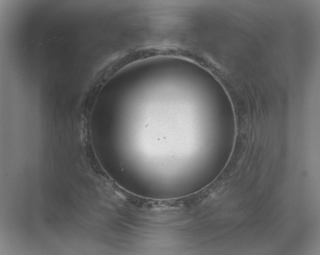 X0000074931398200609151927