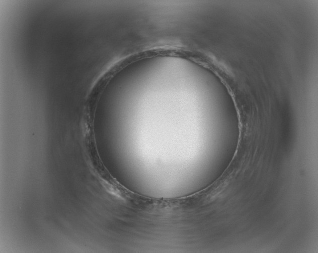 X0000074931400200609151927