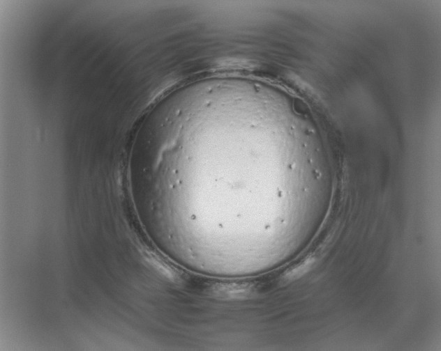 X0000074931401200609151927