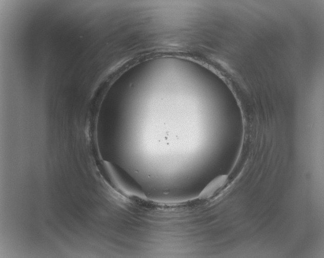 X0000074931402200609151927