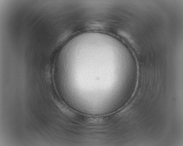 X0000074931403200609151927