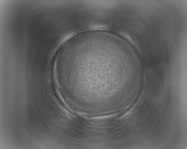 X0000074931405200609151927