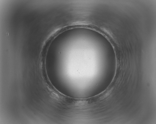 X0000074931406200609151927