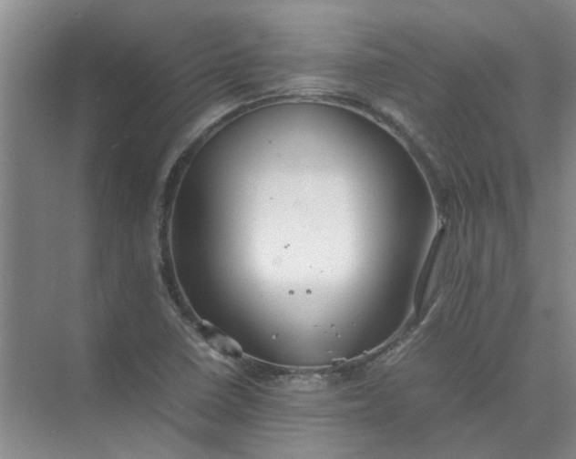 X0000074931410200609151927