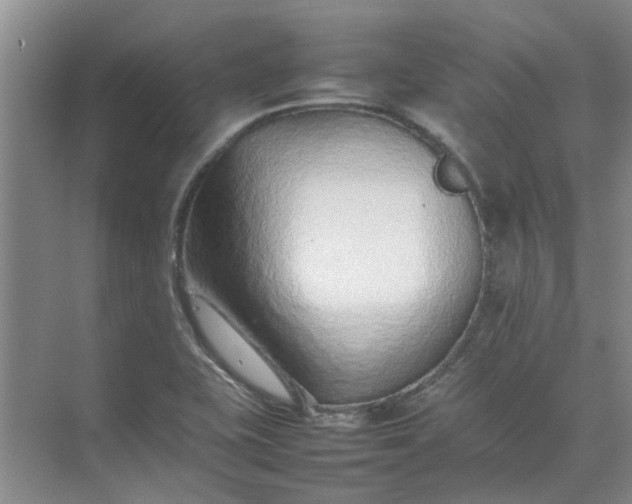 X0000074931415200609151927