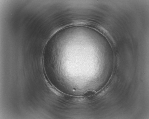 X0000074931417200609151927