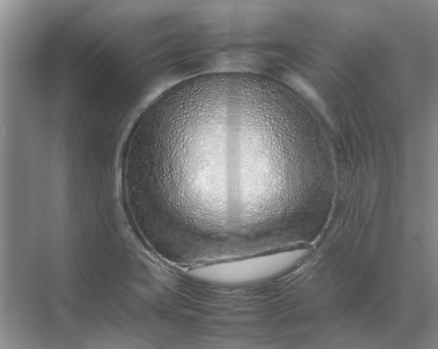 X0000074931419200609151927