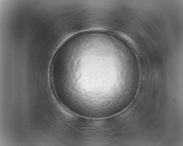 X0000074931423200609151927