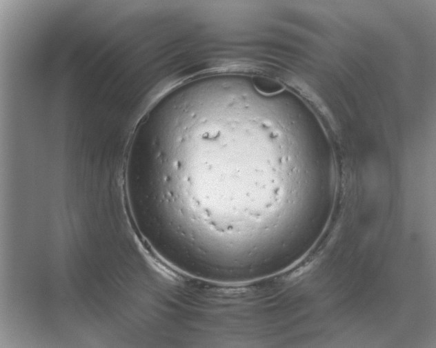 X0000074931425200609151927