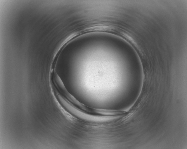 X0000074931426200609151927