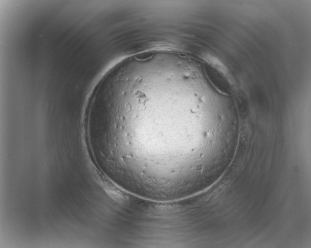 X0000074931427200609151927