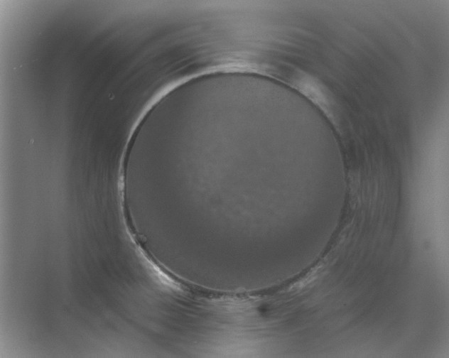 X0000074931428200609151927