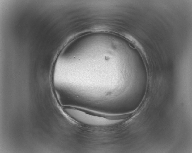 X0000074931429200609151927