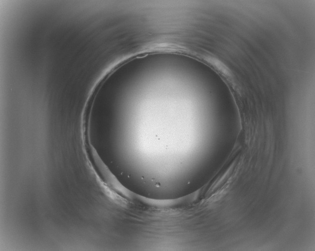 X0000074931430200609151927