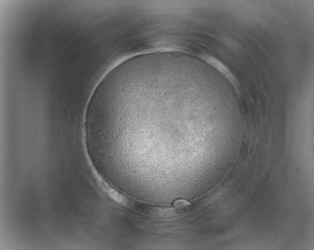 X0000074931431200609151927