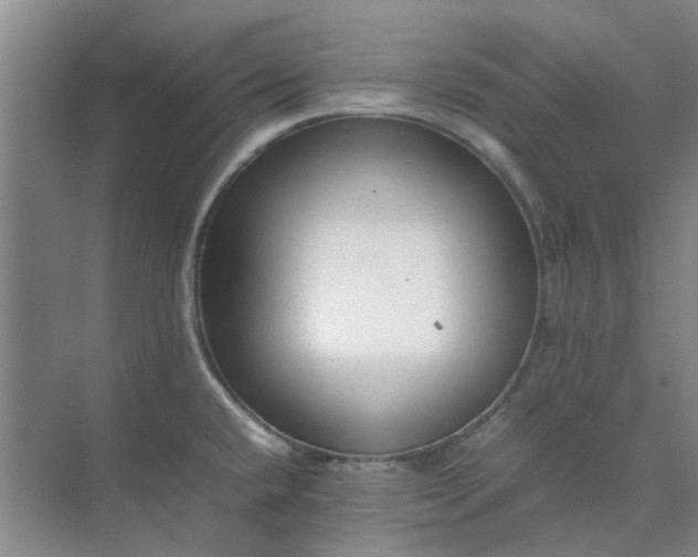 X0000074931432200609151927