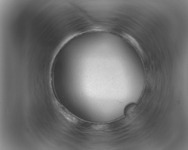 X0000074931435200609151927