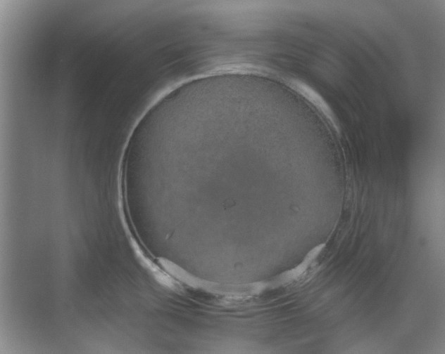 X0000074931439200609151927