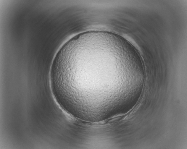 X0000074931440200609151927