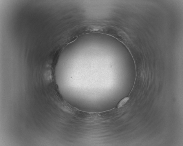 X0000074931442200609151926