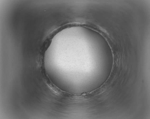 X0000074931448200609151926