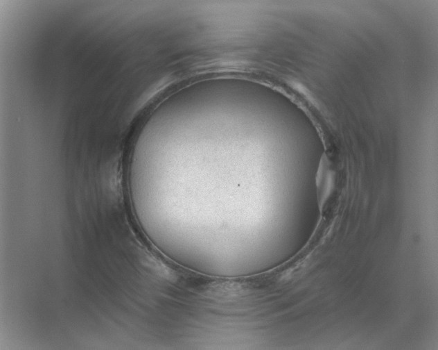 X0000074931450200609151926