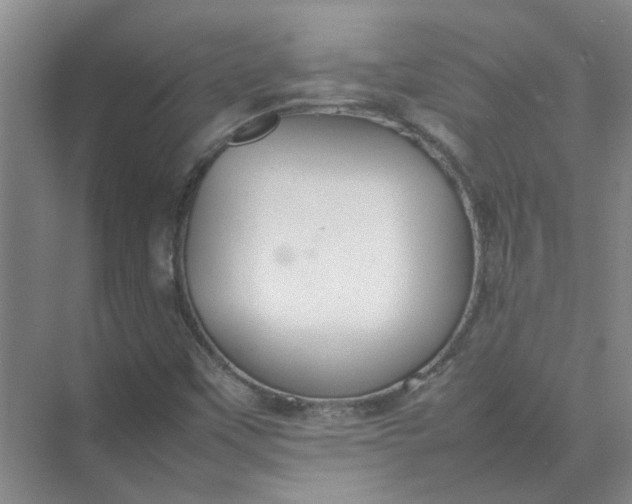 X0000074931451200609151926