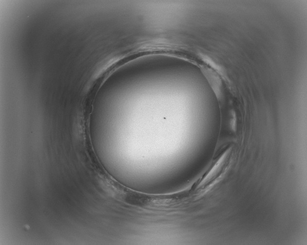 X0000074931453200609151926