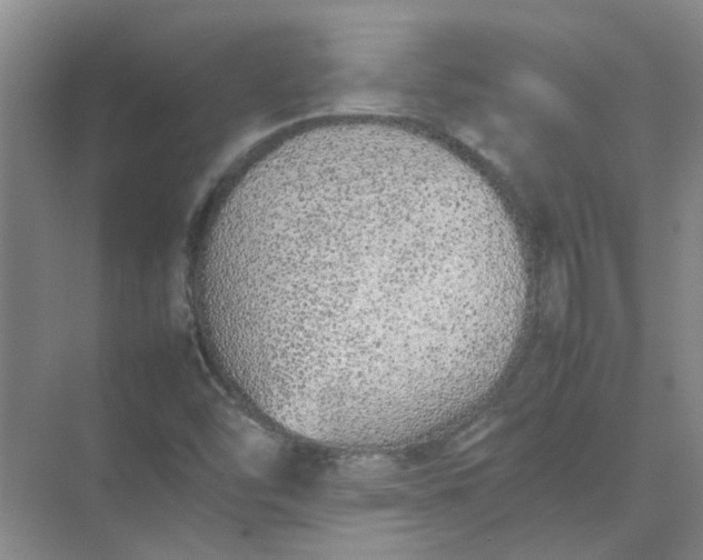 X0000074931454200609151926