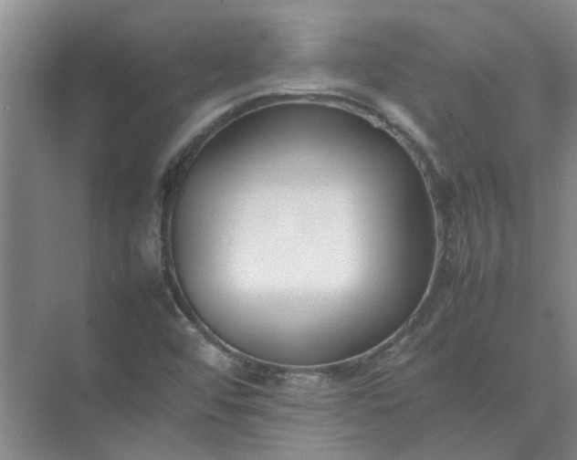 X0000074931456200609151926