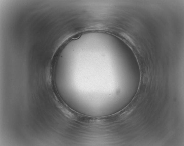 X0000074931458200609151926