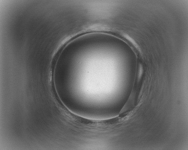 X0000074931461200609151926