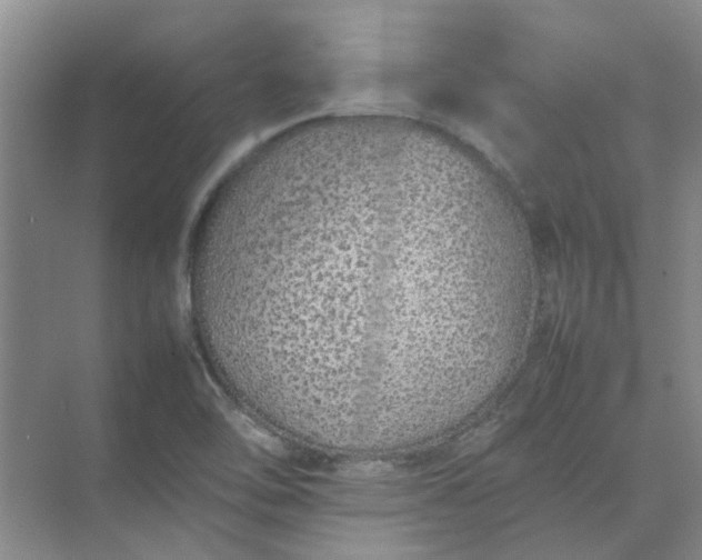 X0000074931462200609151926