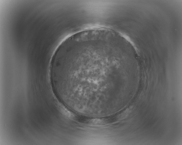 X0000074931463200609151926