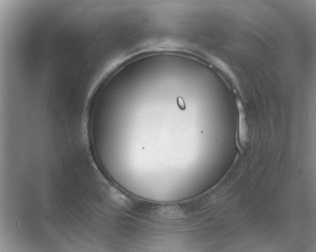 X0000074931464200609151926