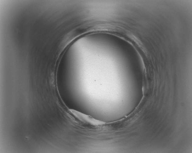 X0000074931465200609151926