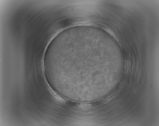 X0000074931466200609151926