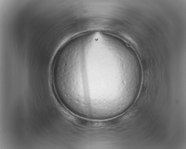 X0000074931467200609151926